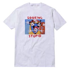 Looking Stupid Animaniacs T-Shirt