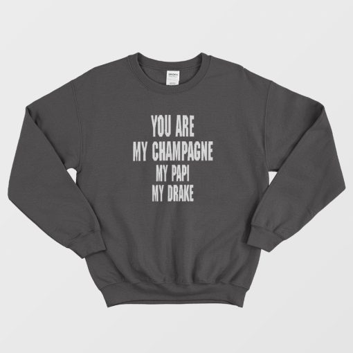 You Are My Champagne My Papi My Drake Sweatshirt