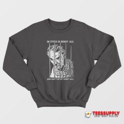 I'm Stuck In Horny Jail And Can't Pay My Horny Bail Sweatshirt