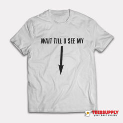 Drake Wait Till U See My T-Shirt